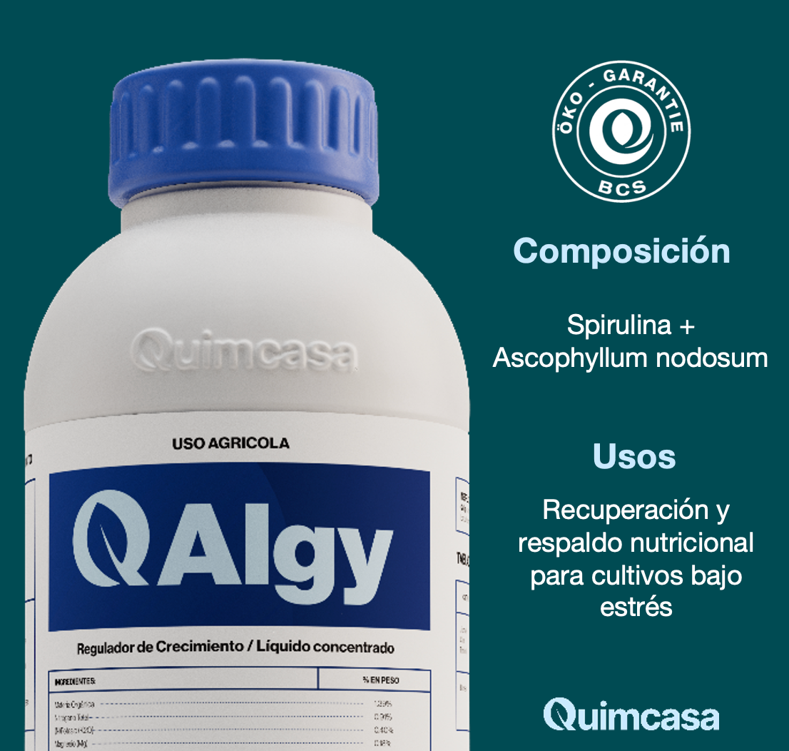 Q Algy - Extractos de Algas Marinas