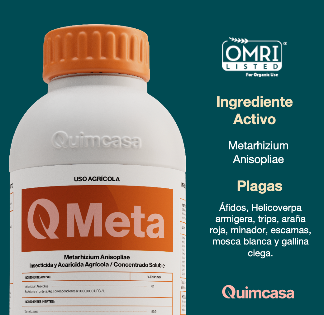 Q Meta - Metarhizium Anisopliae