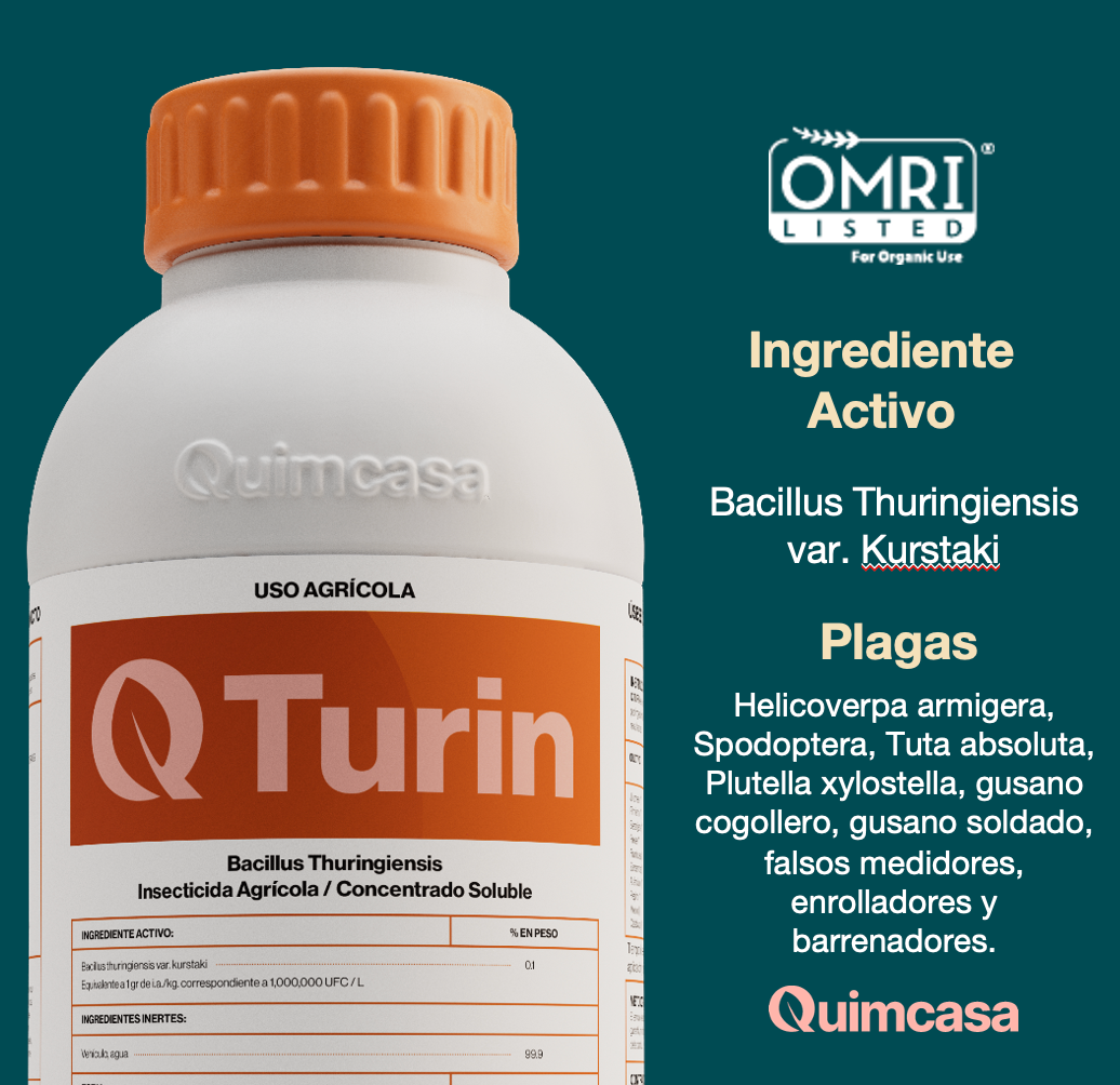 Q Turin - Bacillus Thuringiensis