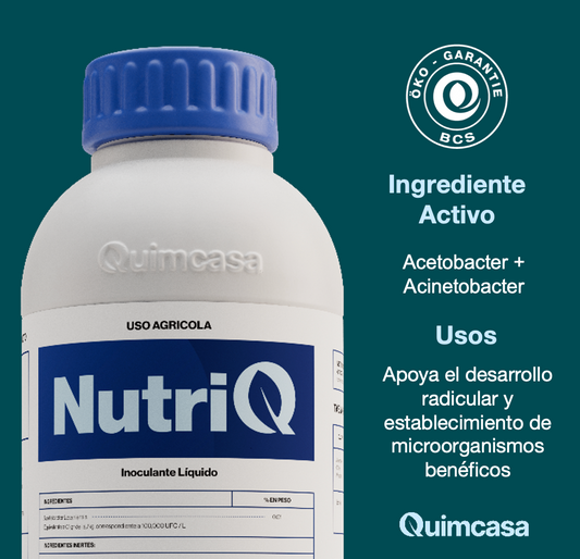 Nutri Q - Bacterias Beneficas