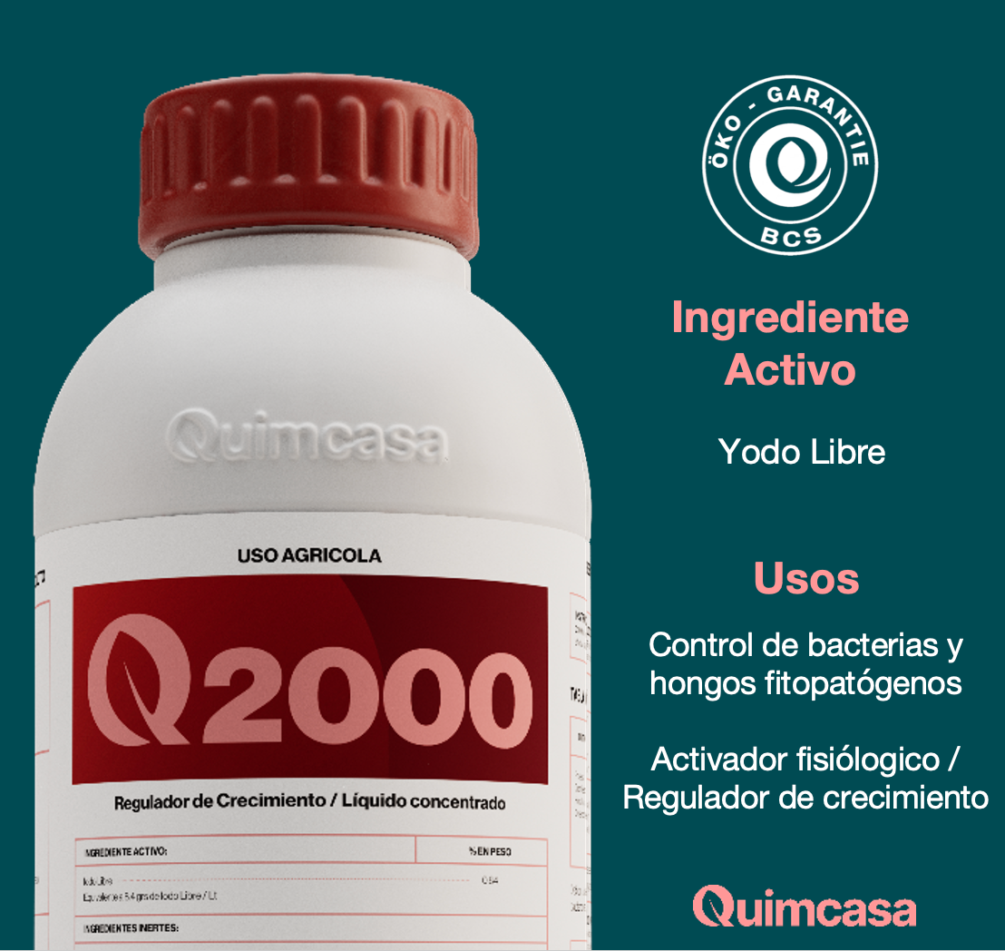 Q 2000 - Germicida y activador fisiológico