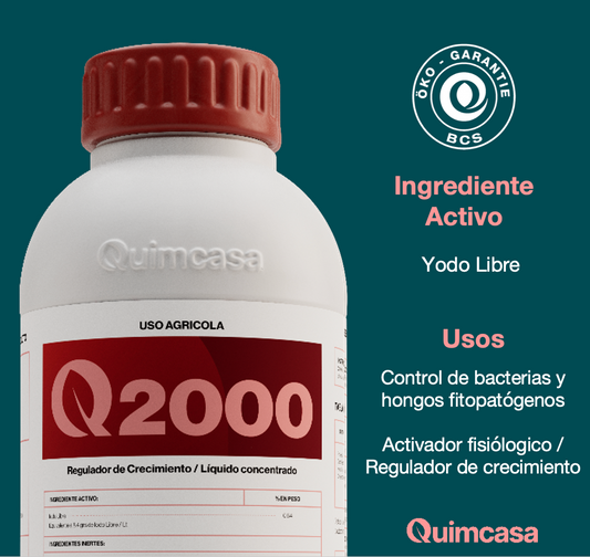 Q 2000 - Activador Fisiológico