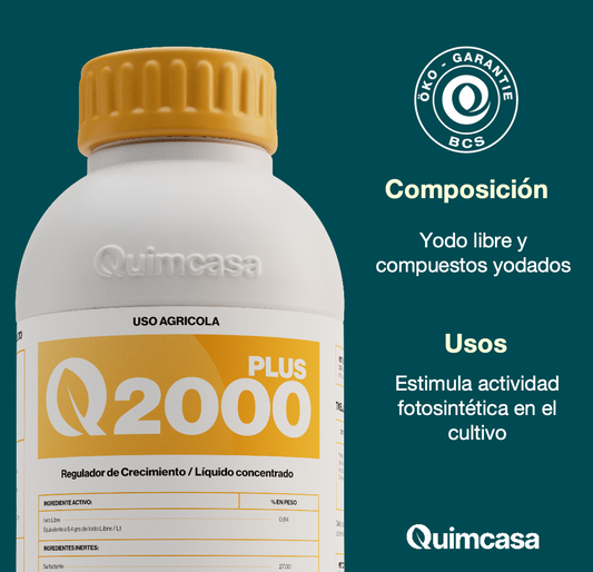 Q 2000 Plus - Activador Fisiológico
