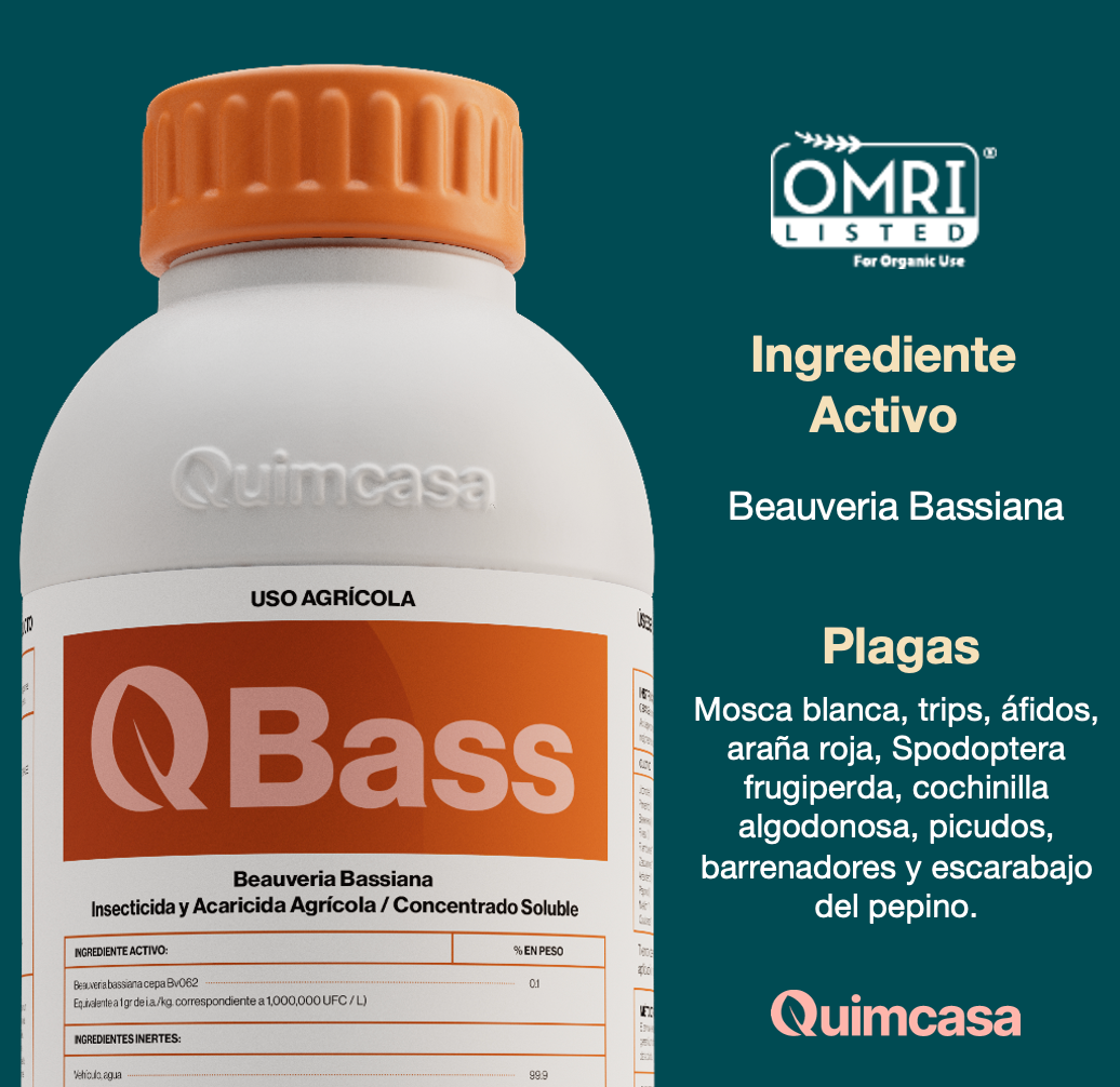 Q Bass - Beauveria Bassiana