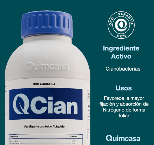 Q Cian - Cianobacterias