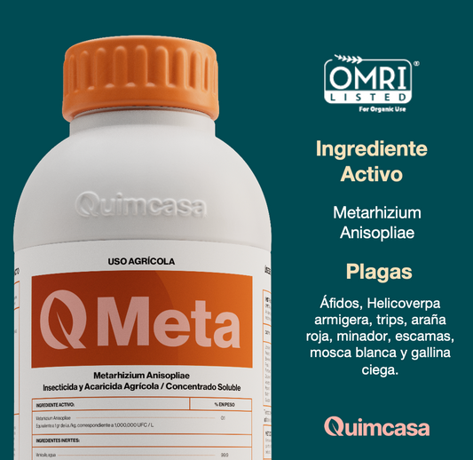 Q Meta - Metarhizium Anisopliae