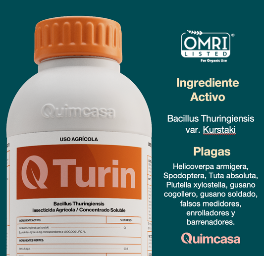 Q Turin - Bacillus Thuringiensis