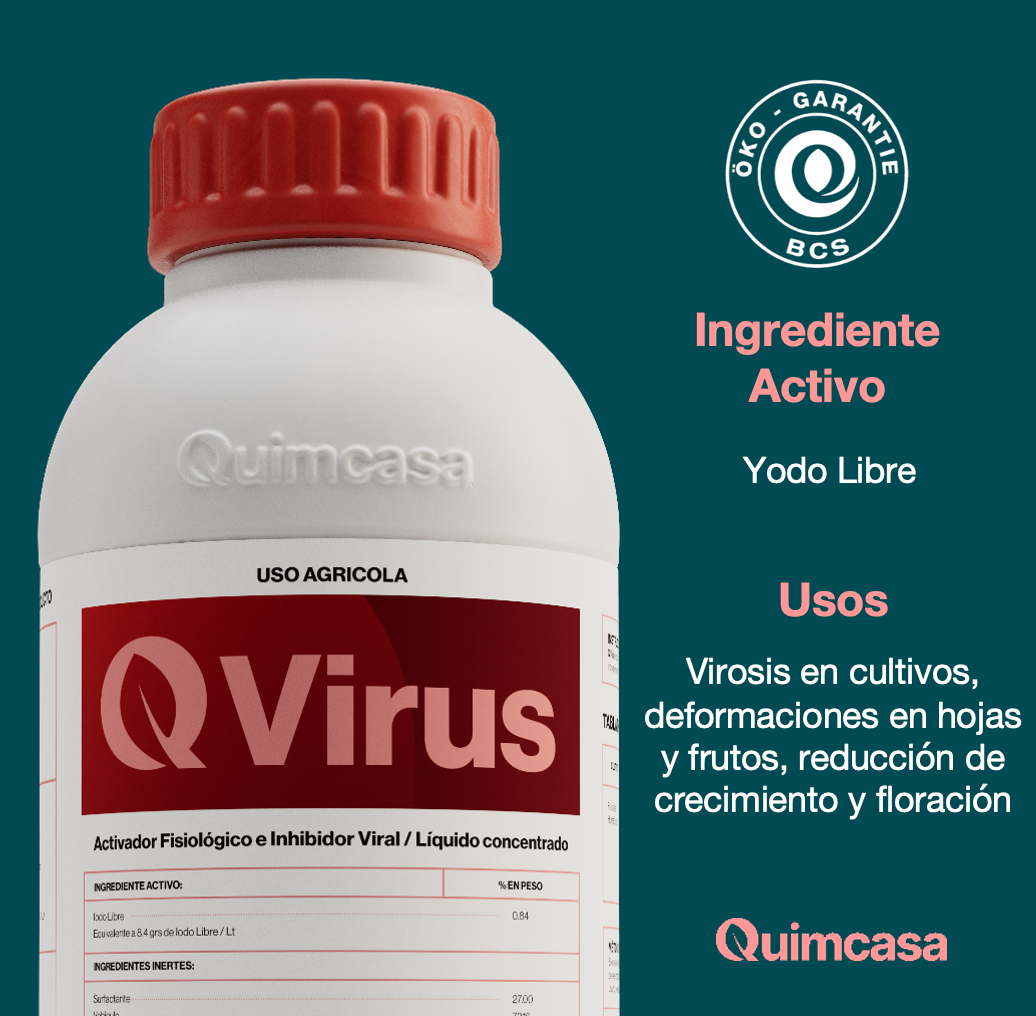 Q Virus - Virustático